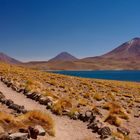 Magische Atacamawüste