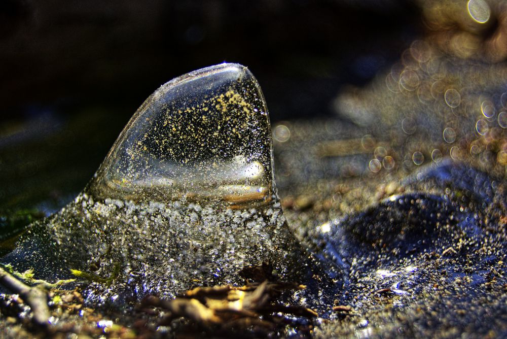 Magische Eiswelten 1