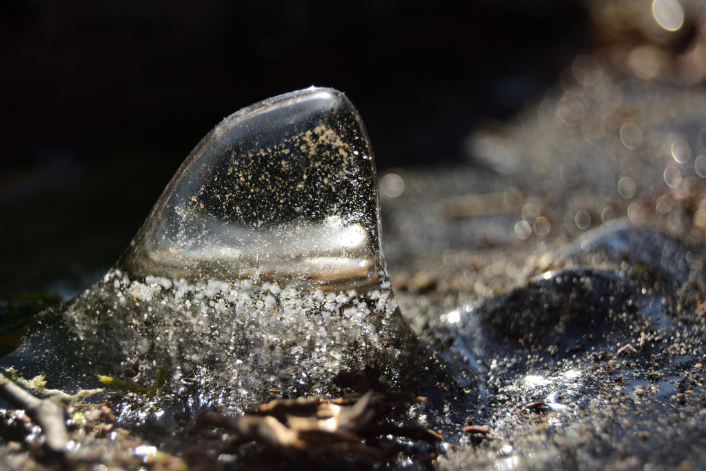 Magische Eiswelten 1