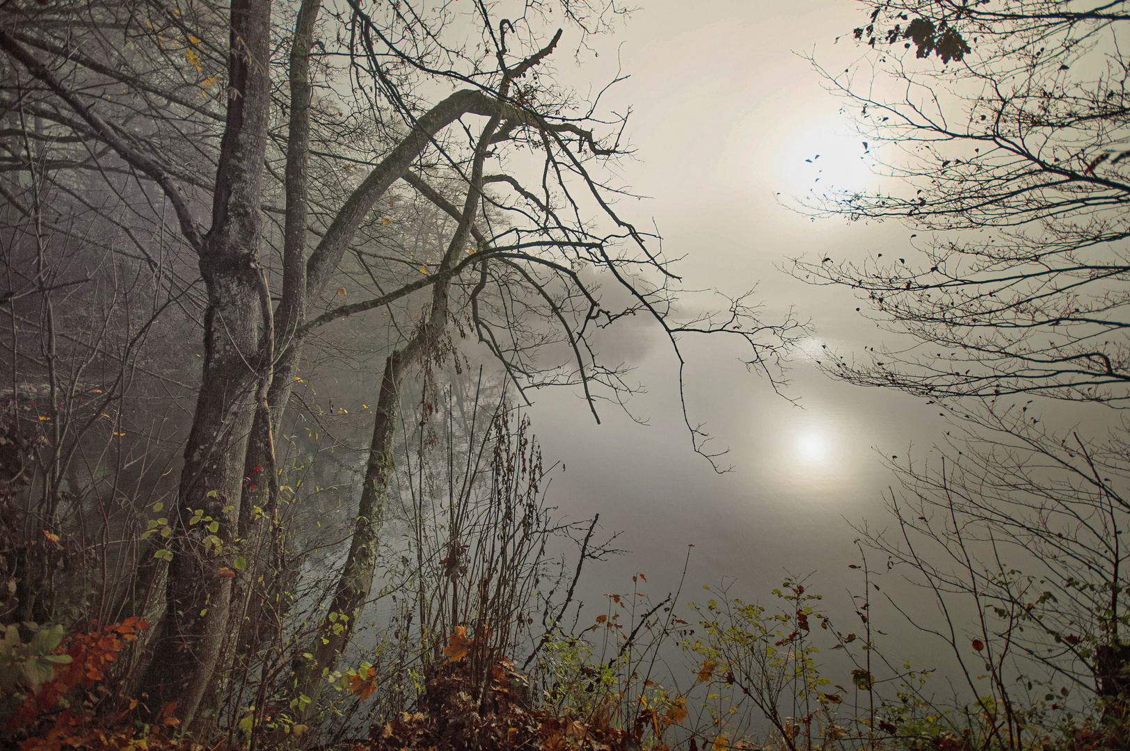 Magische Herbststimmung am See