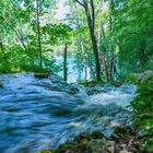 Magische Landschaft: Plitvicer Seen