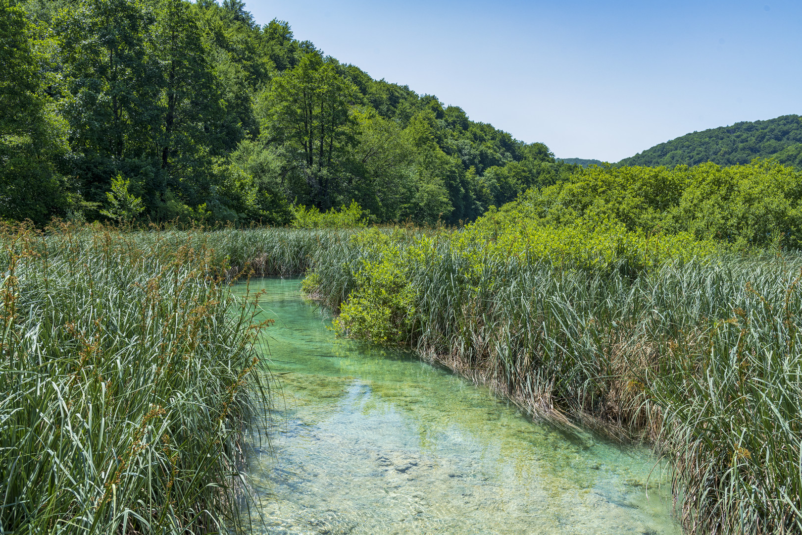 Magische Landschaft: Plitvicer Seen