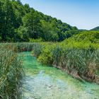 Magische Landschaft: Plitvicer Seen