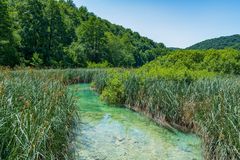 Magische Landschaft: Plitvicer Seen