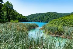 Magische Landschaft: Plitvicer Seen