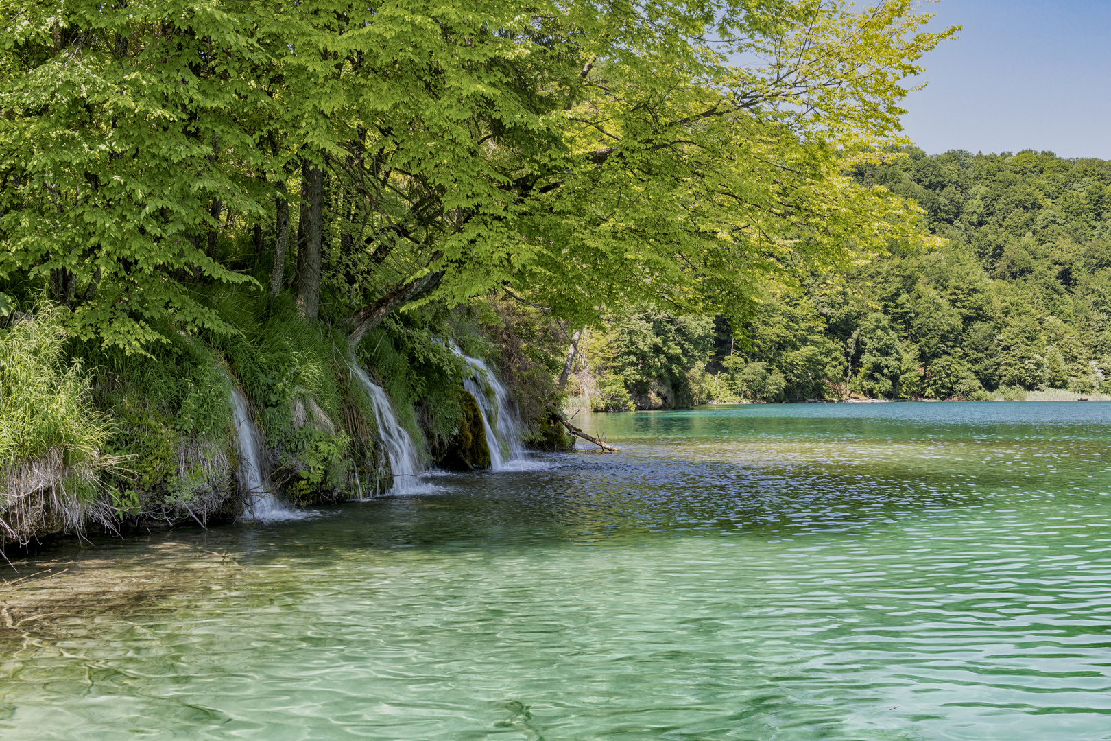 Magische Landschaft: Plitvicer Seen