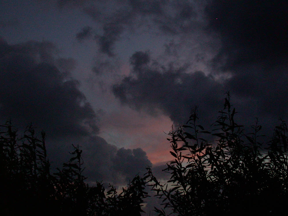 Magische Licht mit Wolken und Zweigen