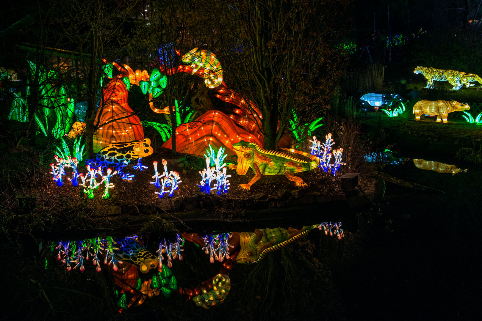 Magische Lichterwelten 2019 im Bergzoo Halle   (1)