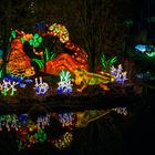 Magische Lichterwelten 2019 im Bergzoo Halle   (1)