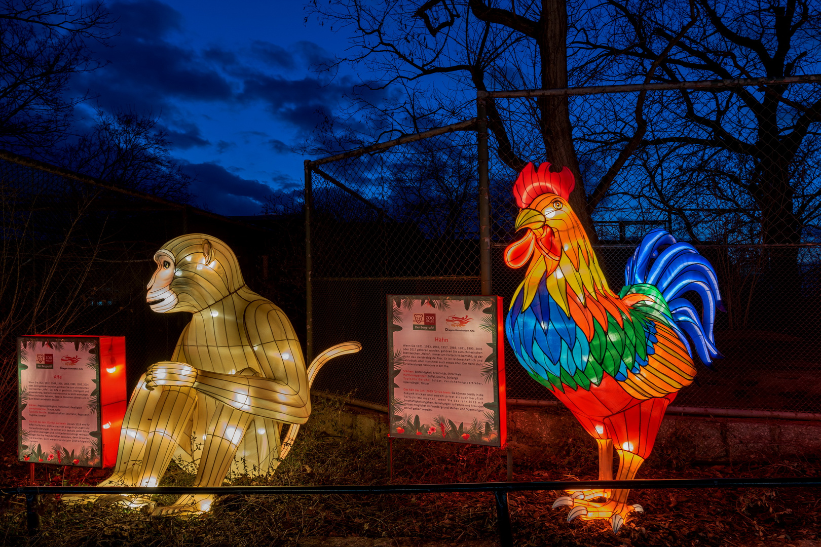  Magische Lichterwelten 2019 im Bergzoo Halle (6)