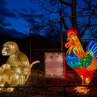  Magische Lichterwelten 2019 im Bergzoo Halle (6)