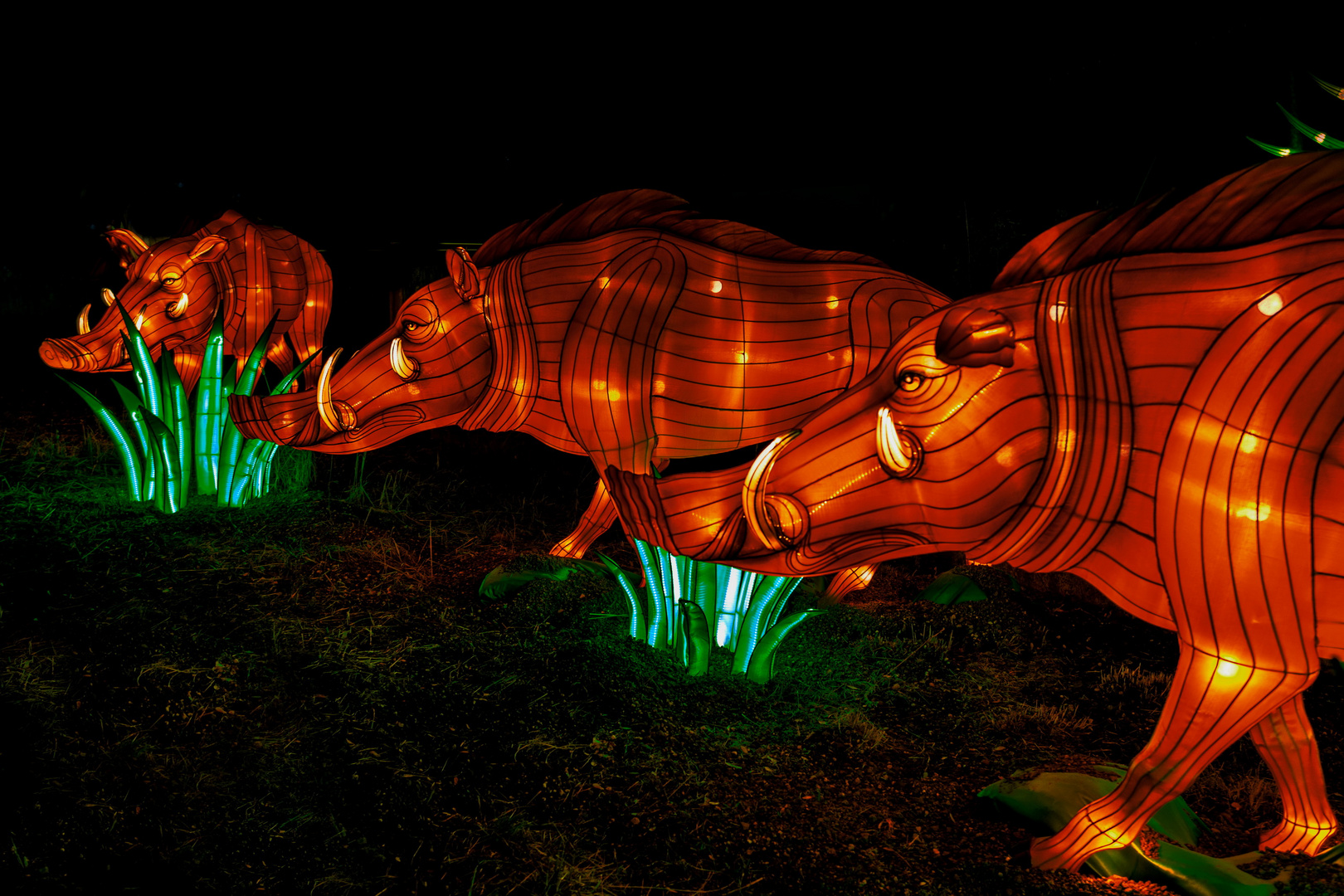 Magische Lichterwelten 2019 im Bergzoo Halle (7)