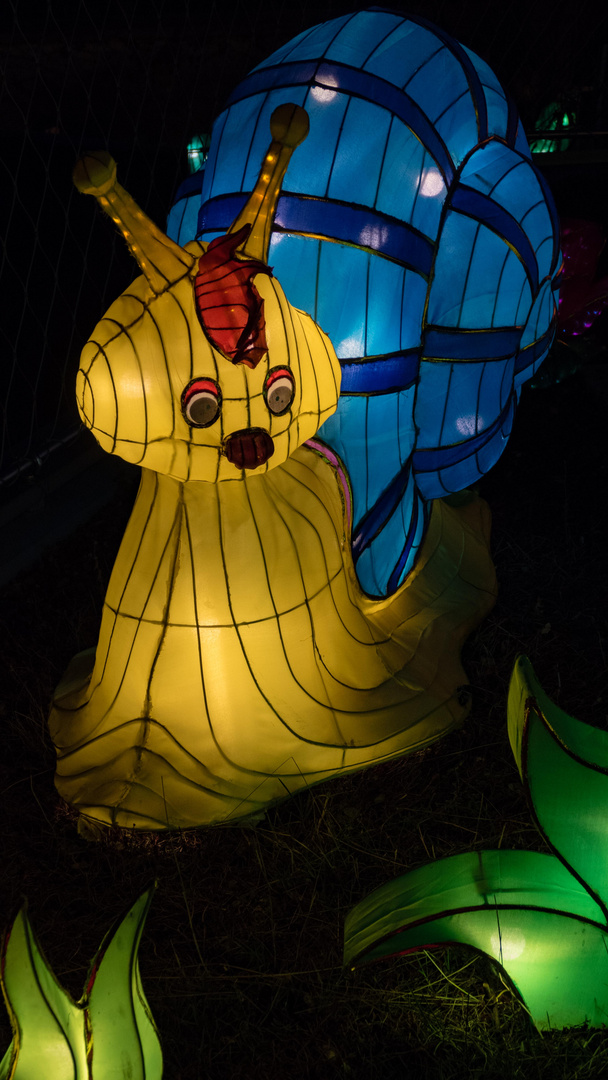 Magische Lichterwelten Bergzoo Halle 