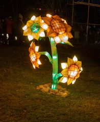 Magische Lichterwelten Bergzoo Halle - Blume 