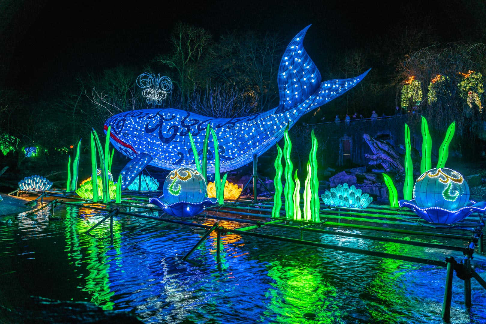 Magische Lichterwelten im Bergzoo Halle (Saale) 2019 (2)