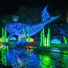 Magische Lichterwelten im Bergzoo Halle (Saale) 2019 (2)