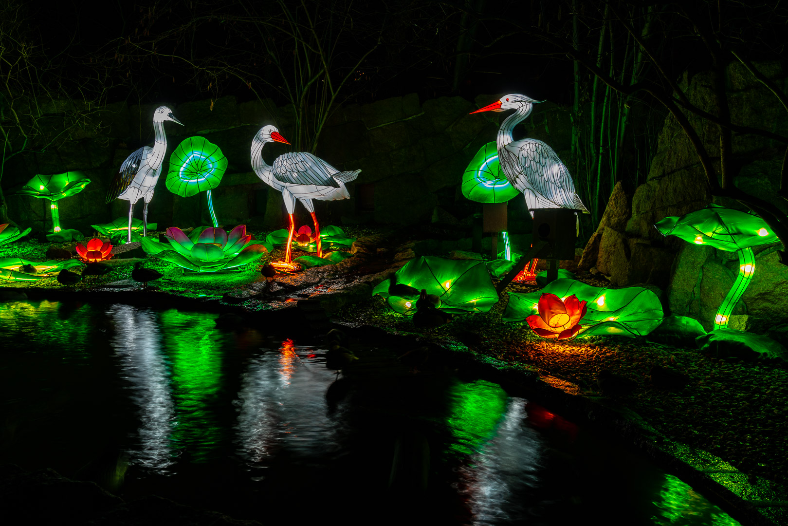 Magische Lichterwelten im Bergzoo Halle (Saale) 2019 (3)