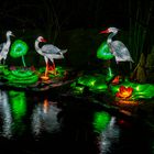 Magische Lichterwelten im Bergzoo Halle (Saale) 2019 (3)