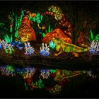 Magische Lichterwelten im Bergzoo Halle (Saale) 2019 (4)