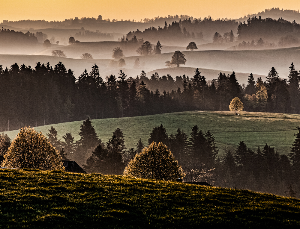 Magische Lichtstimmung 