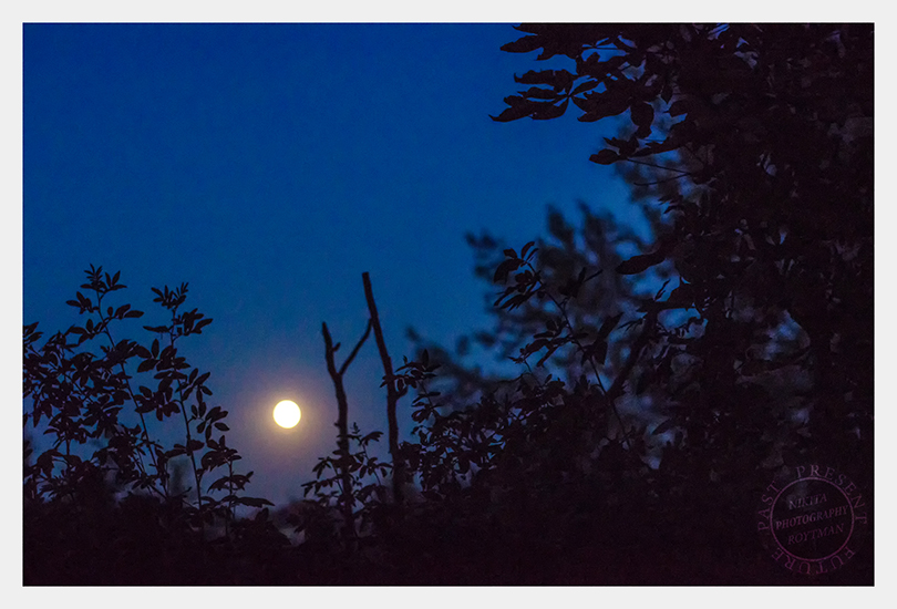 Magische Nacht Auf Dem Land