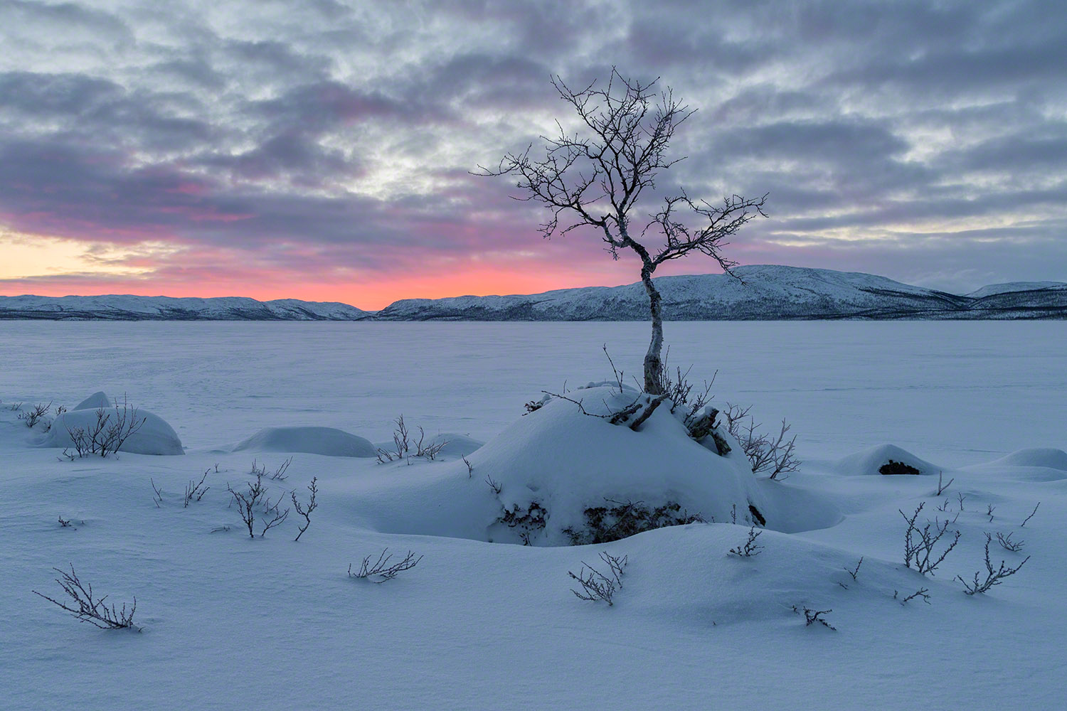 Magische Polarnacht / Magic polar night