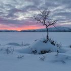 Magische Polarnacht / Magic polar night