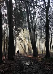 Magische Sonnenstrahlen