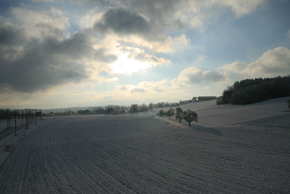 MAGISCHE STILLE von Lily Meder 