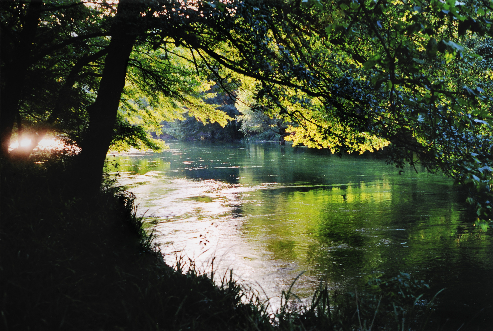 Magische Wasserlandschaft an der Sorgue/Vaucluse