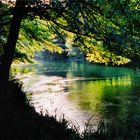 Magische Wasserlandschaft an der Sorgue/Vaucluse