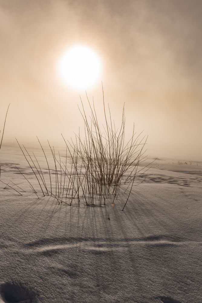 Magische Winterstimmung