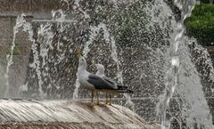 "Magischer Brunnen" III - Barcelona