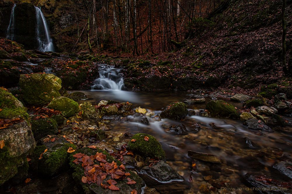 Magischer Herbstwald