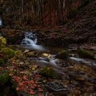 Magischer Herbstwald