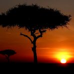 Magischer Moment (Kenia)