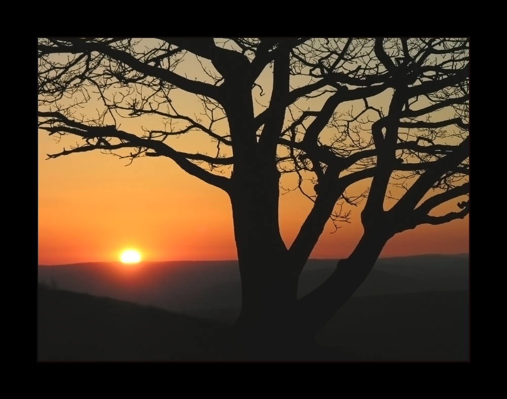 Magischer Moment: Sonnenaufgang am Köterberg...