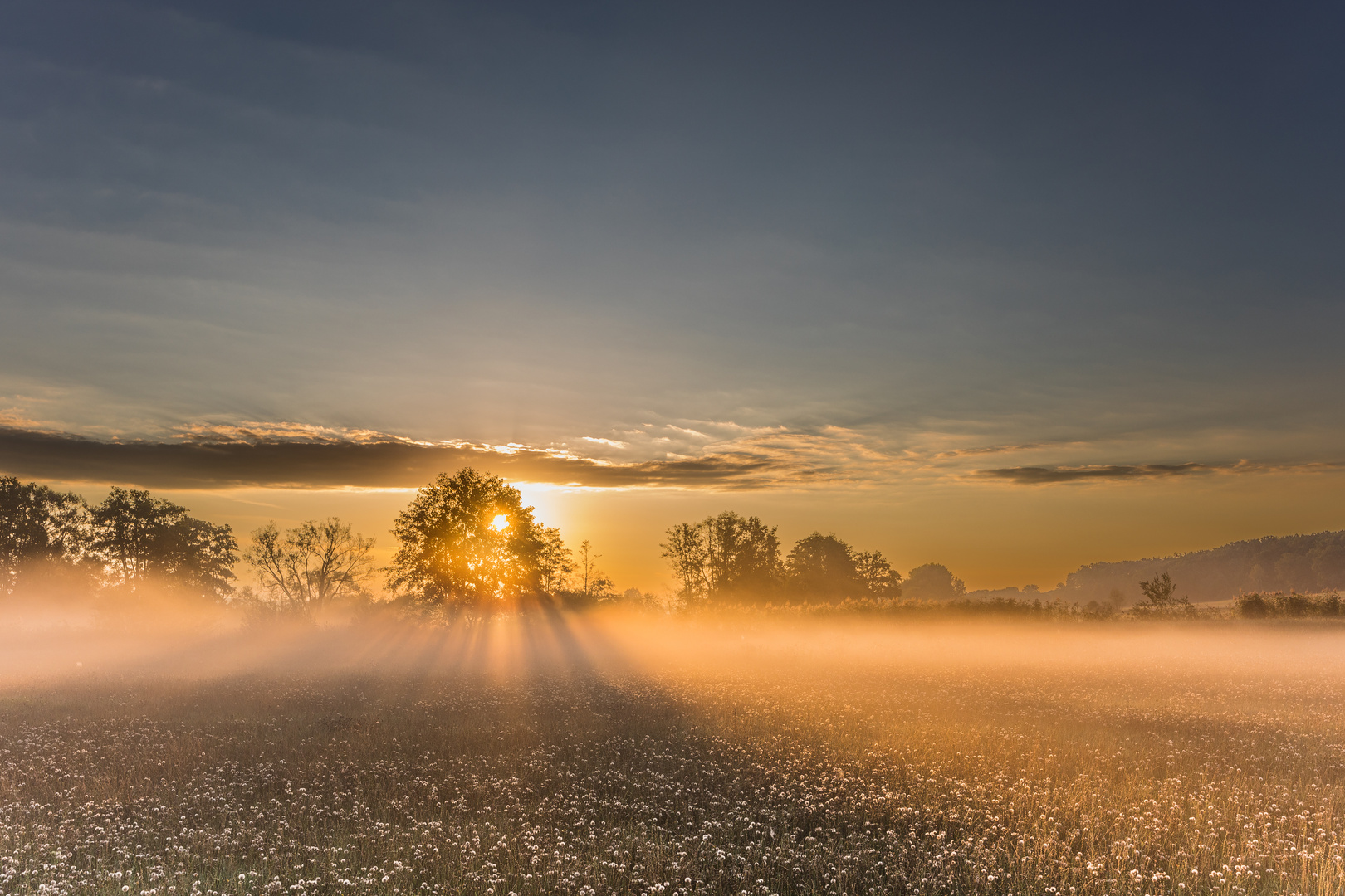 Magischer Morgen