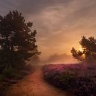 Magischer Morgen