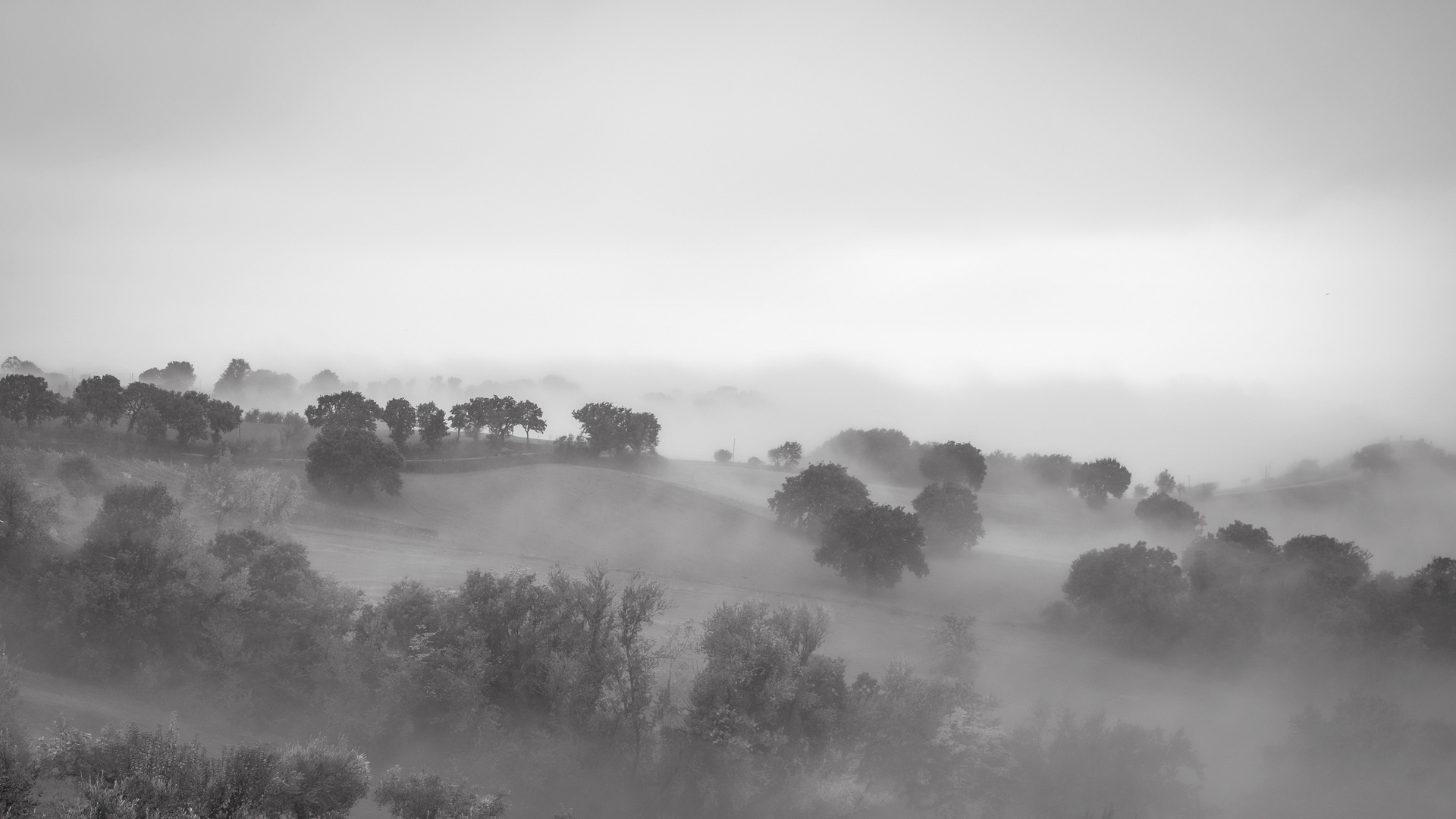 Magischer Nebel