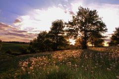 Magischer Sonnenuntergang