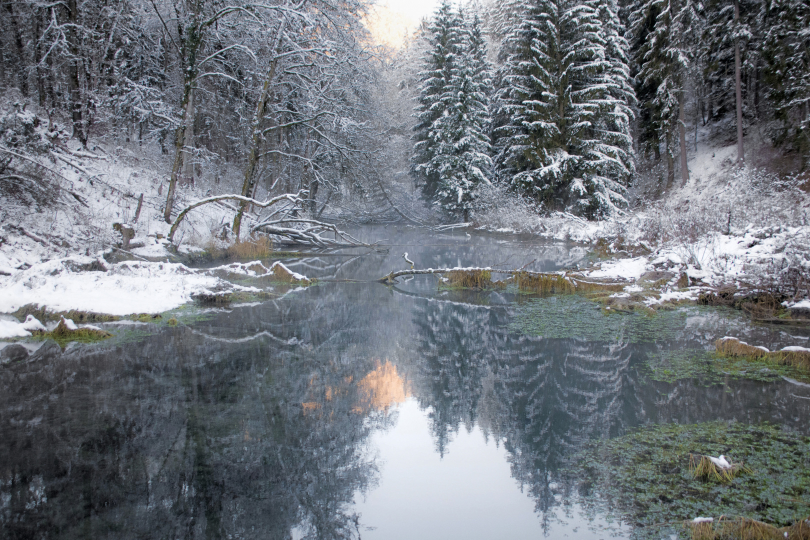 Magischer Wintermorgen