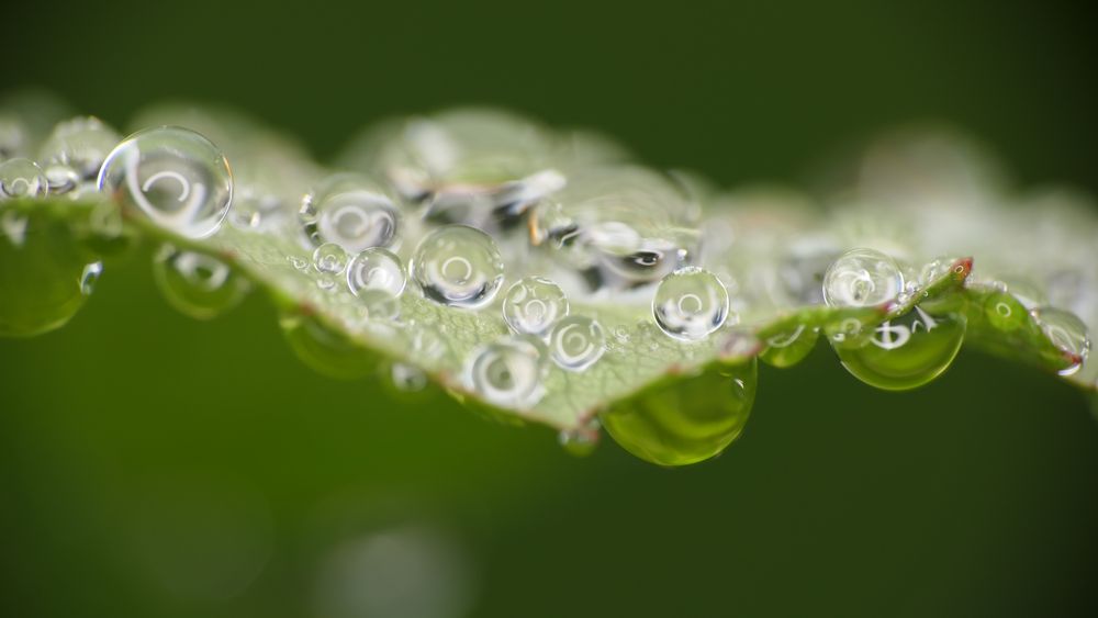 Magisches Auge Foto & Bild spezial, wald, wasser Bilder auf