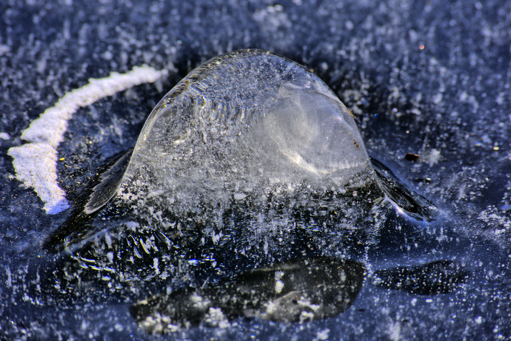 Magisches Eiswelten 7