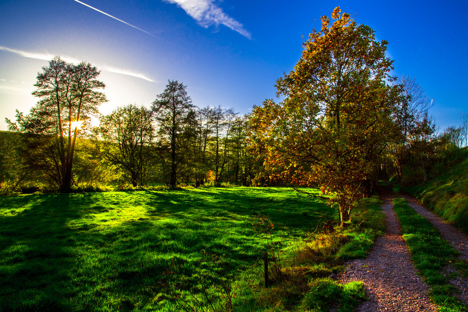 Magisches Herbstlicht