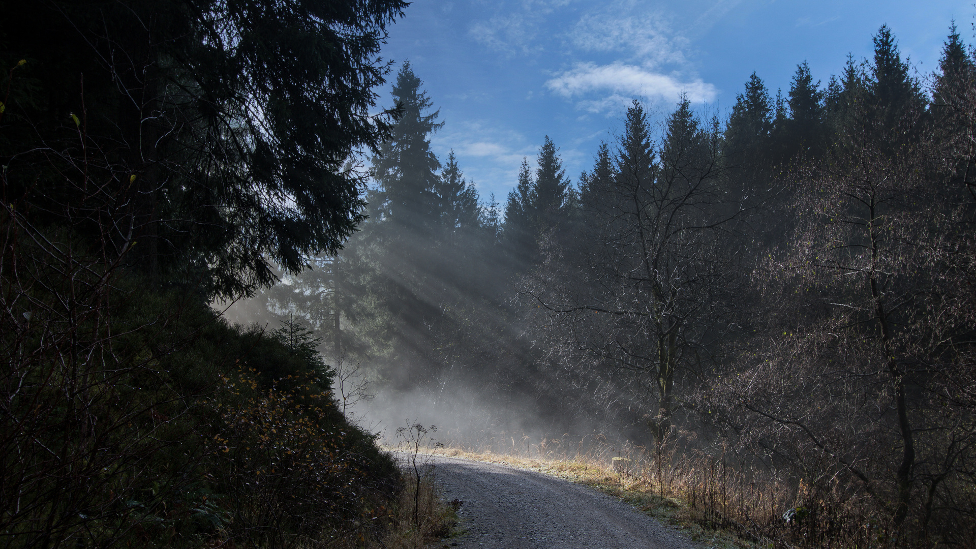 magisches Licht im Novemer