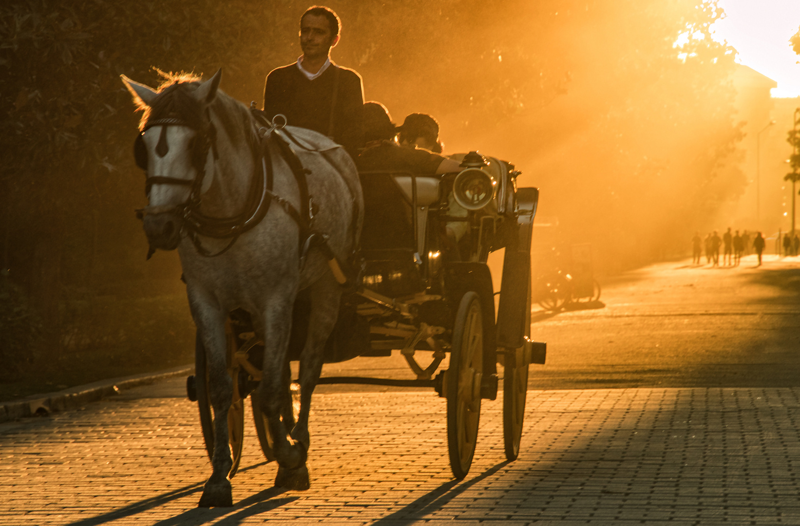 Magisches Licht in Sevilla