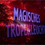 ... Magisches Tropenleuchten ...