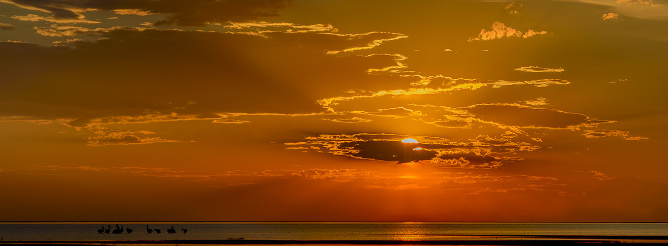 Magkadigkadi Pfannen in Botswana