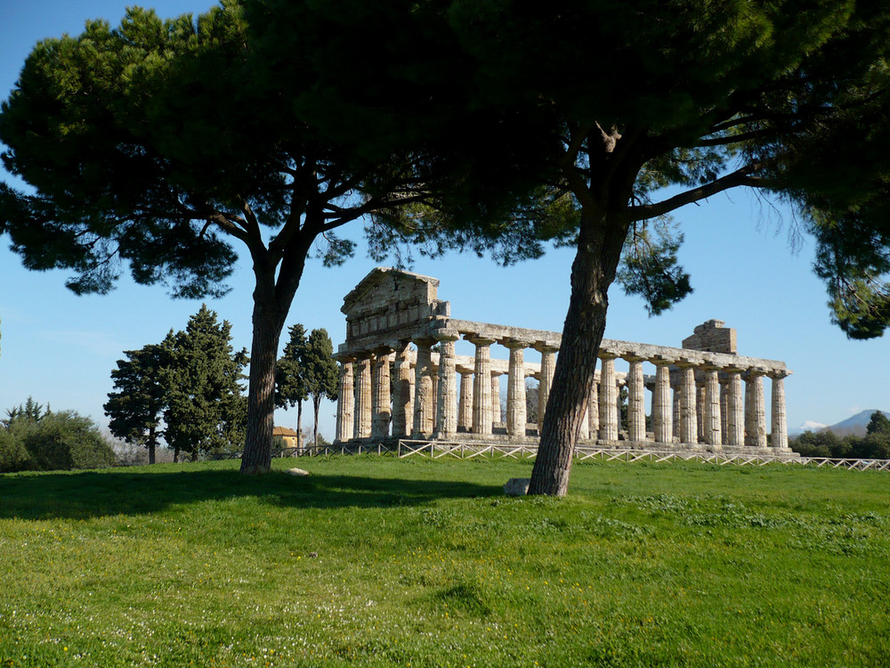 Magna Grecia "Tempio di Paestum"